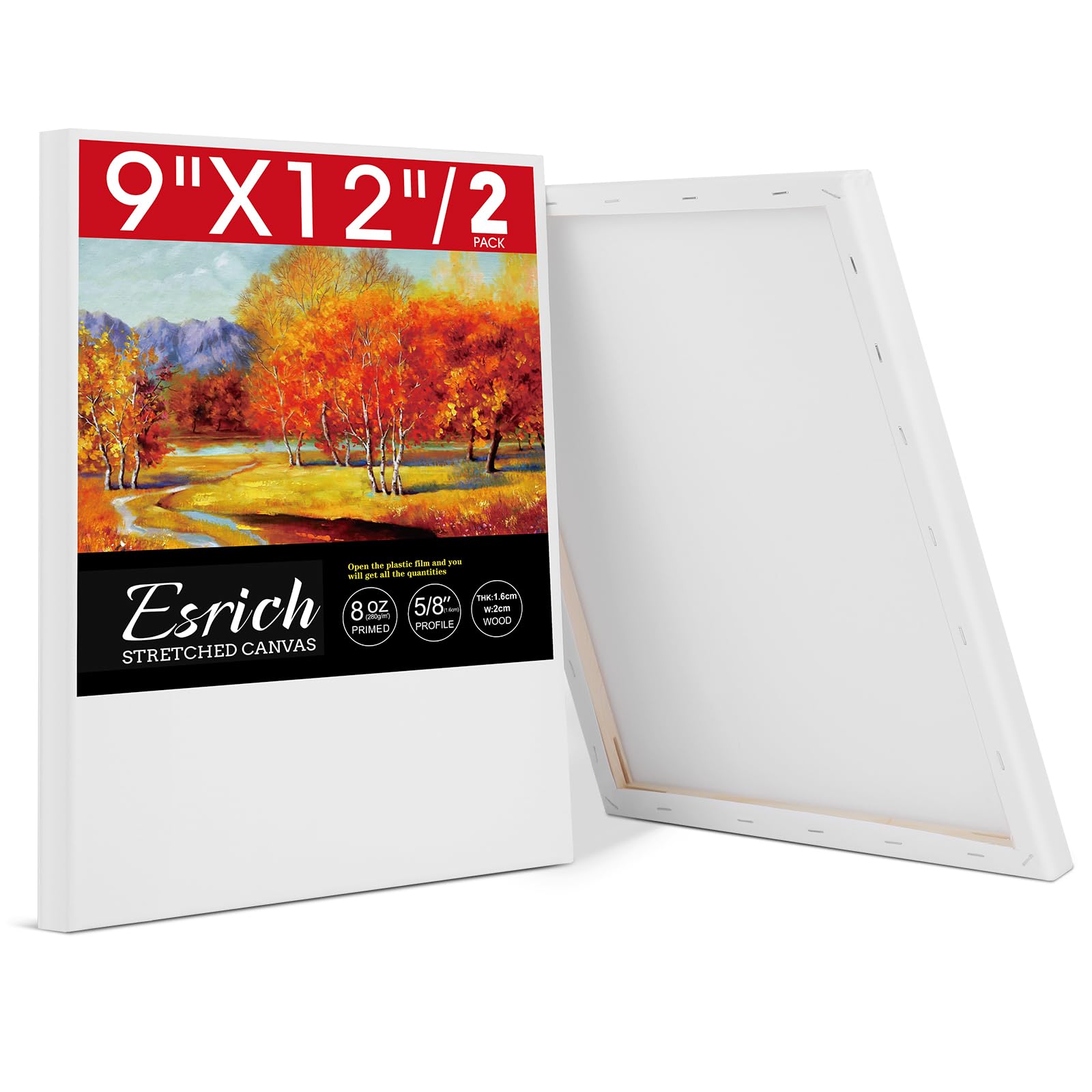 Toile peinture acrylique ESRICH lot de 2 supports coton apprêtés sans acide
