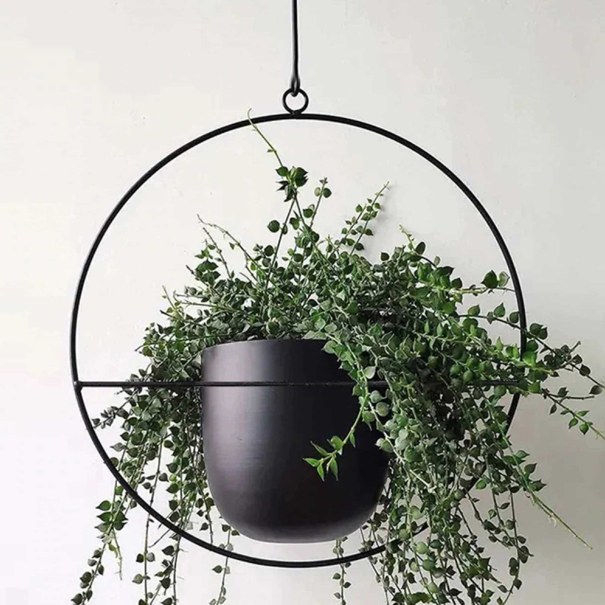 [en.casa] Set di 2 Fioriere Sospese 2 Supporti a Forma di Cerchio per Pianta Appesa Set Portavasi Pensili in Metallo da Misure Diverse - Nero