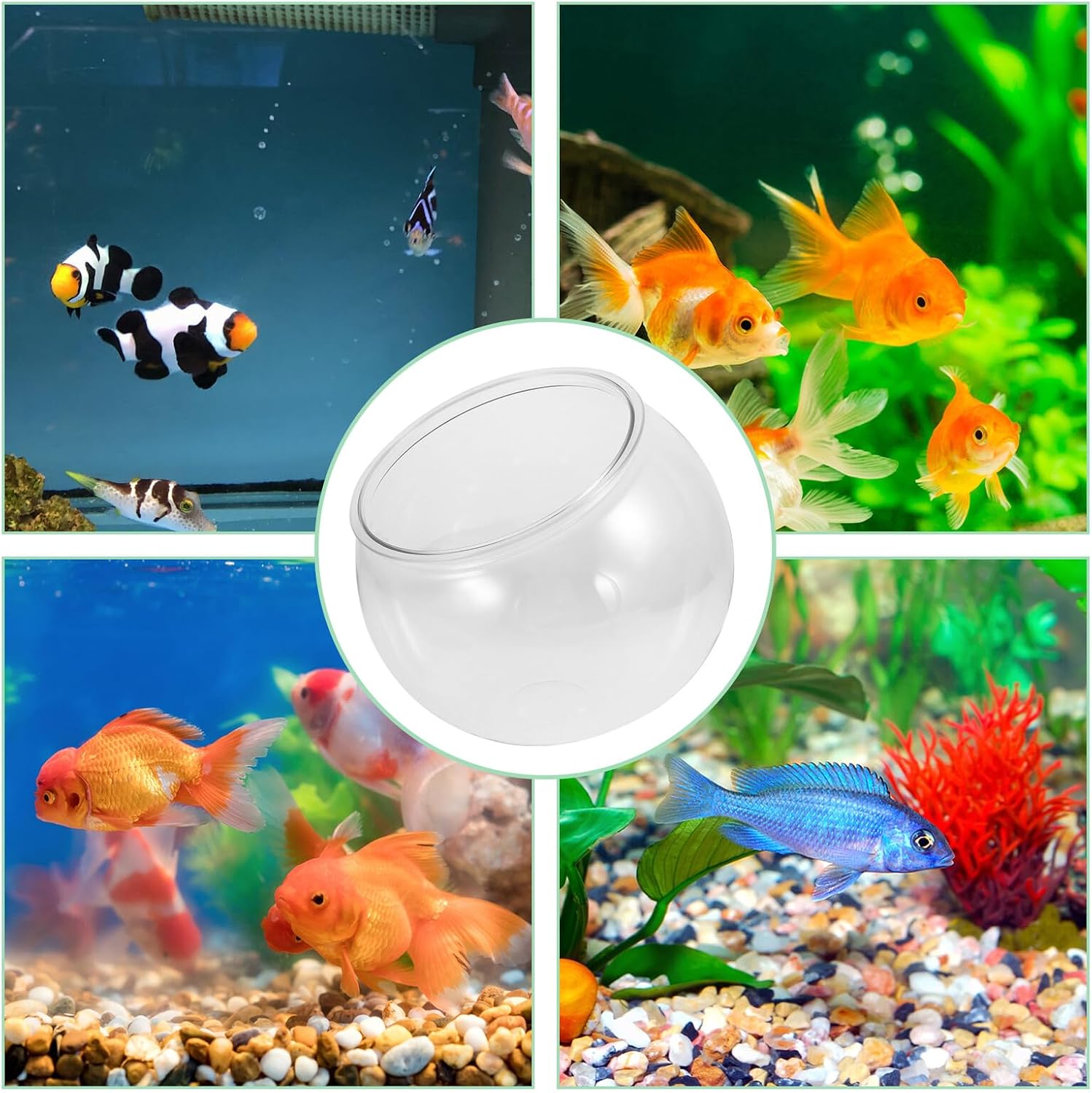 Small Plastic Fish Bowl Aquarium Bowl for Goldfish and Turtles, Unbreakable Hydroponic Planter, Multifunctional Mini Desktop Ecological Fish Tank