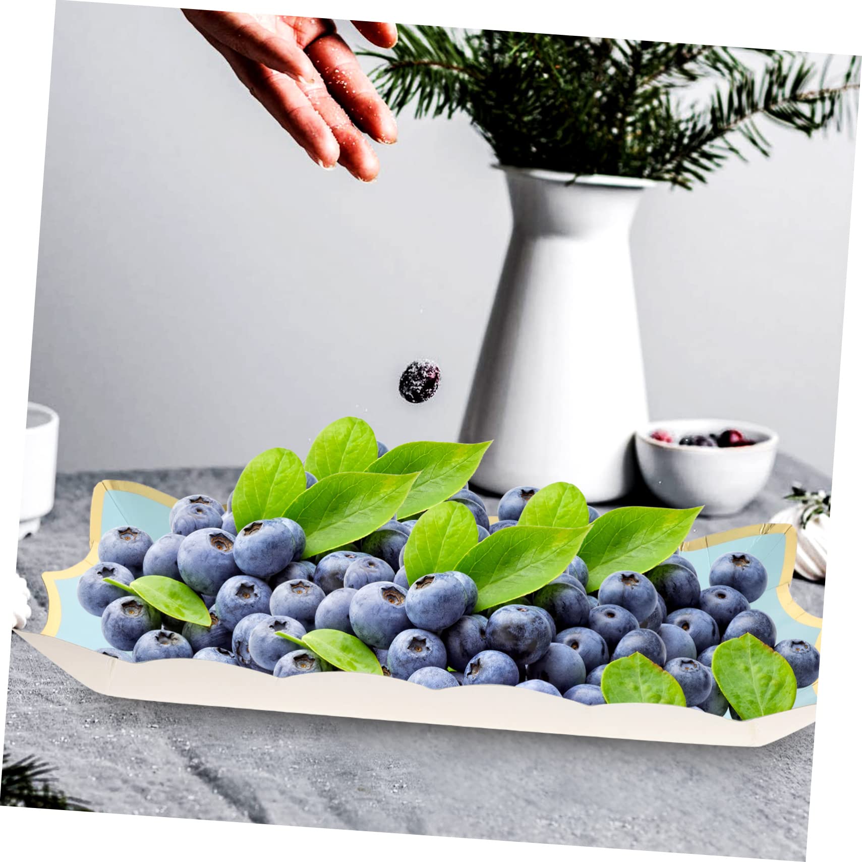 Amosfun 12 Pièces Assiette carrée en Dentelle de Papier Plateau Noel Plateau de Service Noel Assiettes Papier Carton Jante Plateaux d'affichage de Biscuits Plateaux à Biscuits Blue