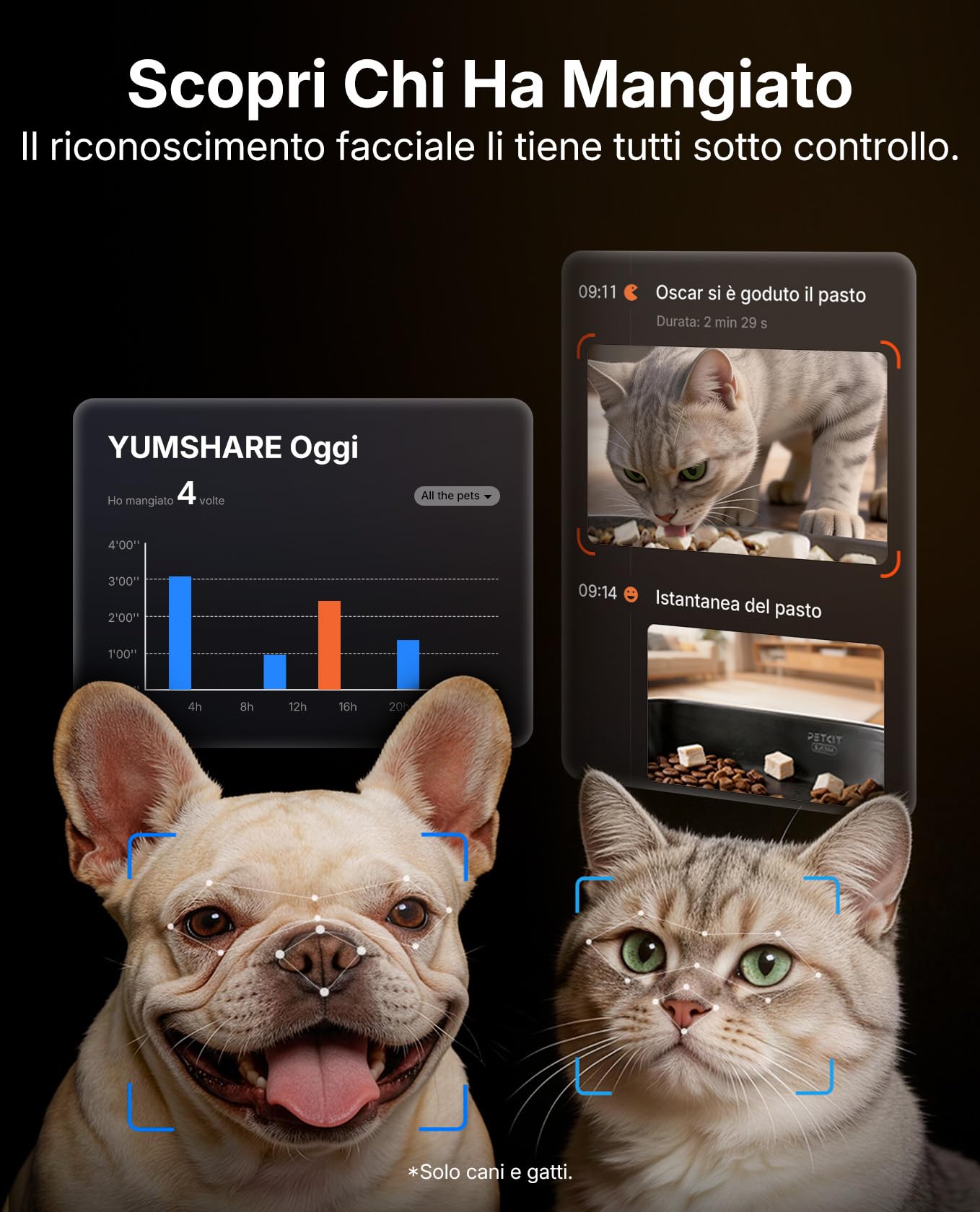 PETKIT YumShare Dual-Hopper 2, Distributore Automatico di Cibo per Gatti e Cani con Telecamera HD 1080p, Riconoscimento Multiplo Gatti, Funzioni AI, Capacità 5L, Wi-Fi 2.4 GHz e 5 GHz