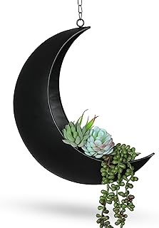 Black Hanging Moon Planter with Drain Holes - Moon Room Decor - Unique P...