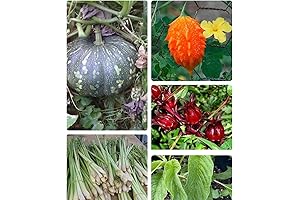 Jamaican Seeds: A Delightful Medley of Tropical Flavors