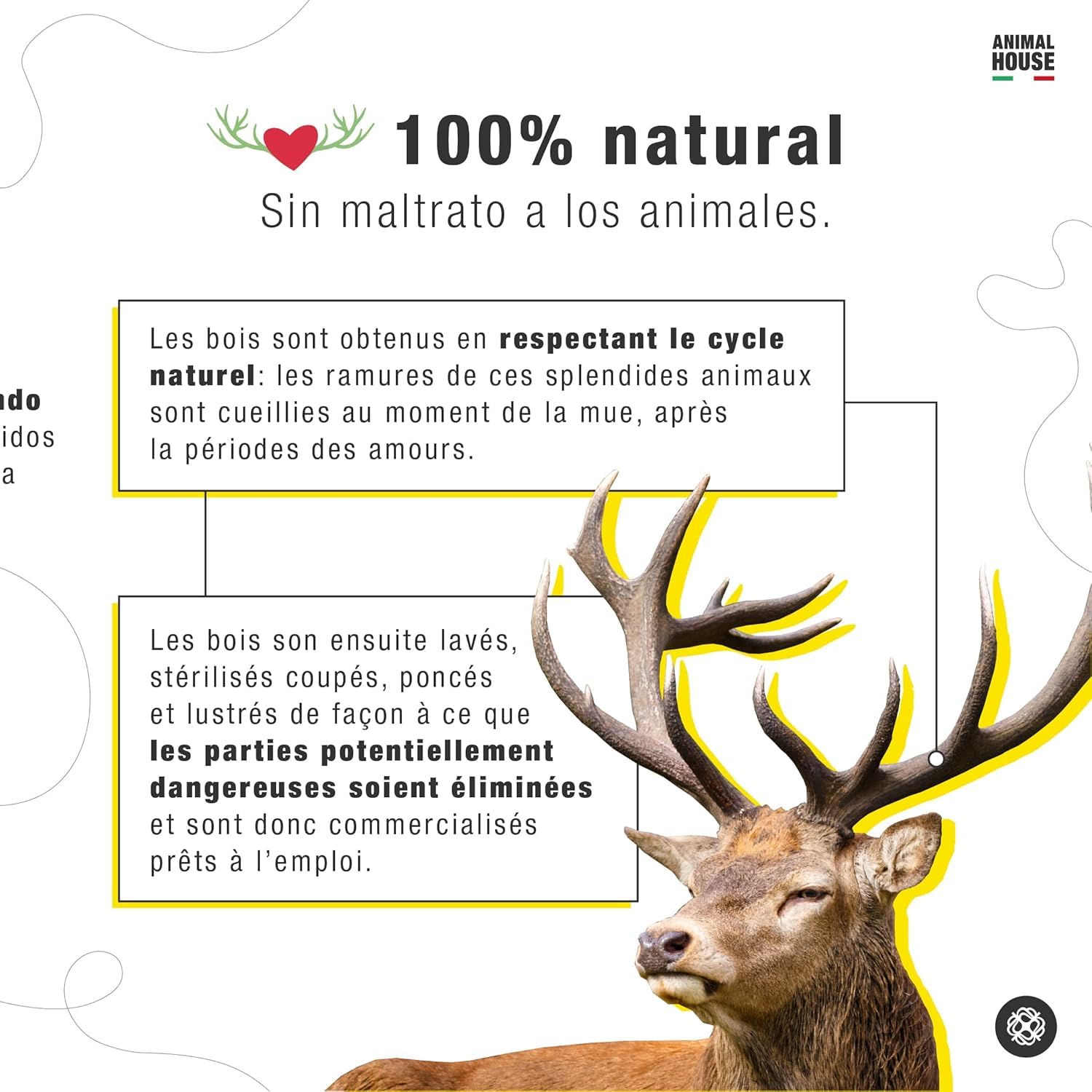 Animal House 4 pièces de Bois de cerf Entier pour Chien, à mâcher 100% Naturel, renforce l'hygiène bucco-Dentaire, résistant et Durable, Disponible dans Toutes Les Tailles (4, S)