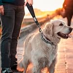 VIVAGLORY Short Dog Leash Closelyt Traffic Leash for Dog with Soft Padded Handle for Training & Walking, Padded Neoprene & Heavy Duty, 12Inch, Black | with Soft Padded Handle for Walking & Training, Padded Neoprene & Heavy Duty