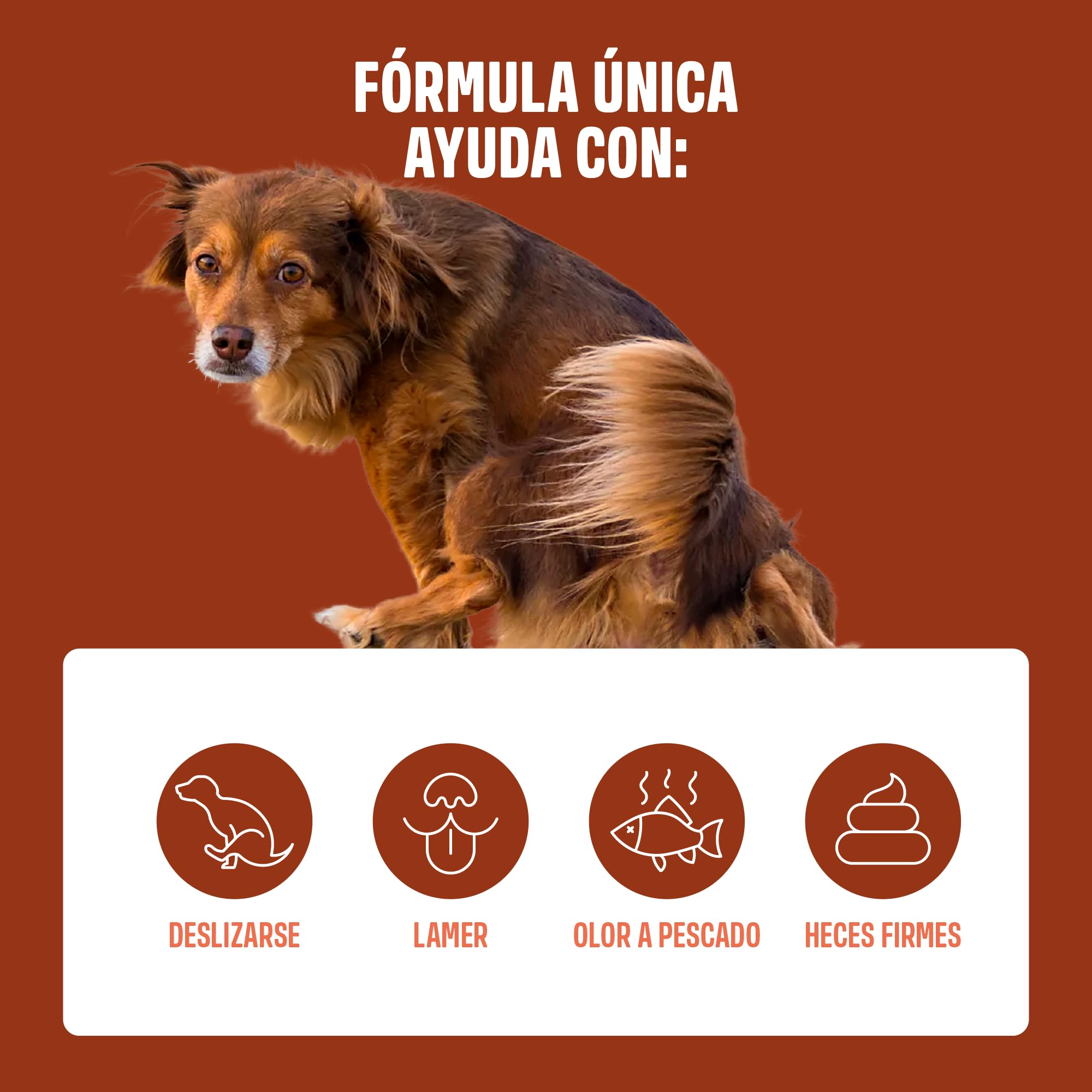 ivvi Anal Gland Snacks para Mejorar la Salud de Las glándulas Anales en Perros - Contiene Calabaza, Psyllium, Lino, Diente de León, Ortiga y Prebióticos. 60 Snacks (270g) con Mantequilla de Cacahuete