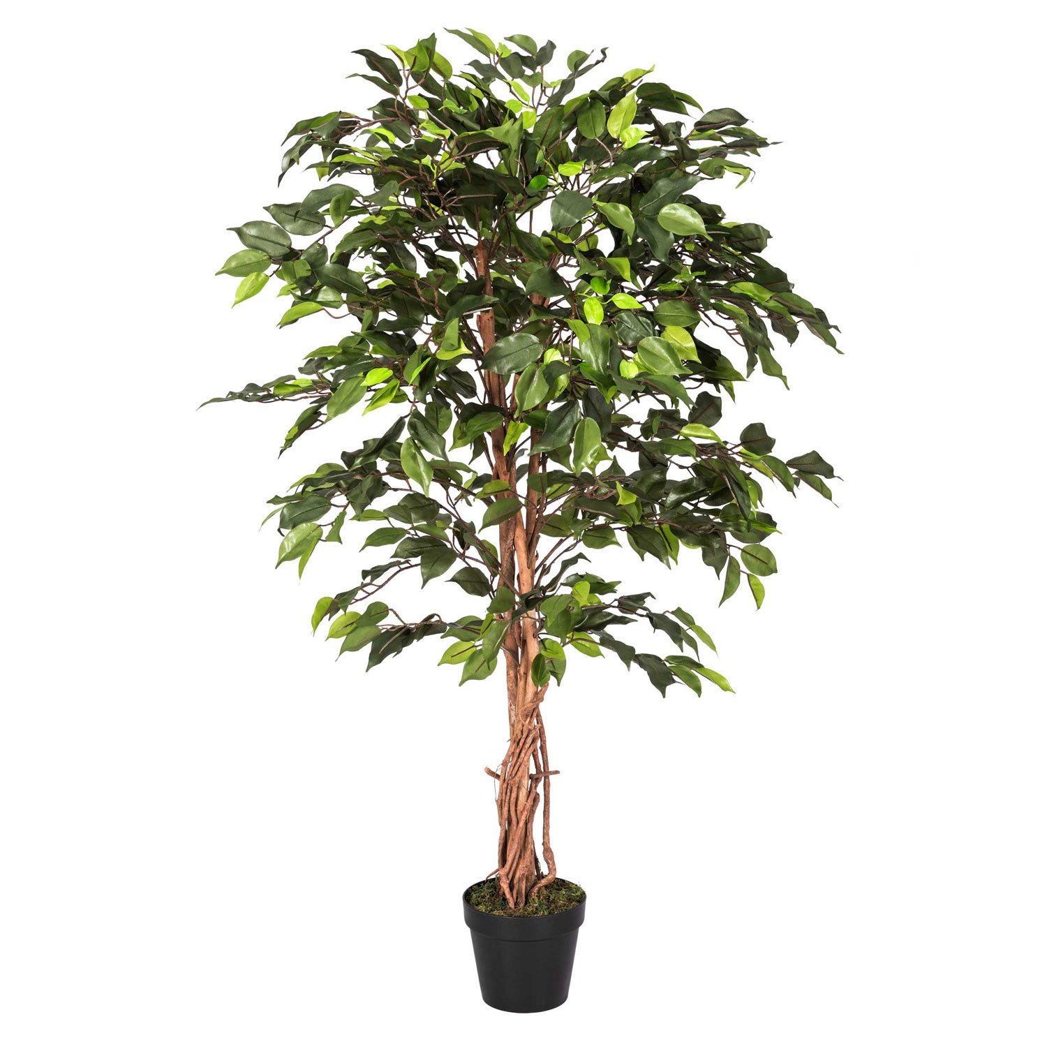 Buy HOMESCAPES 4 Feet Green Ficus Tree With Real Wood Stems and