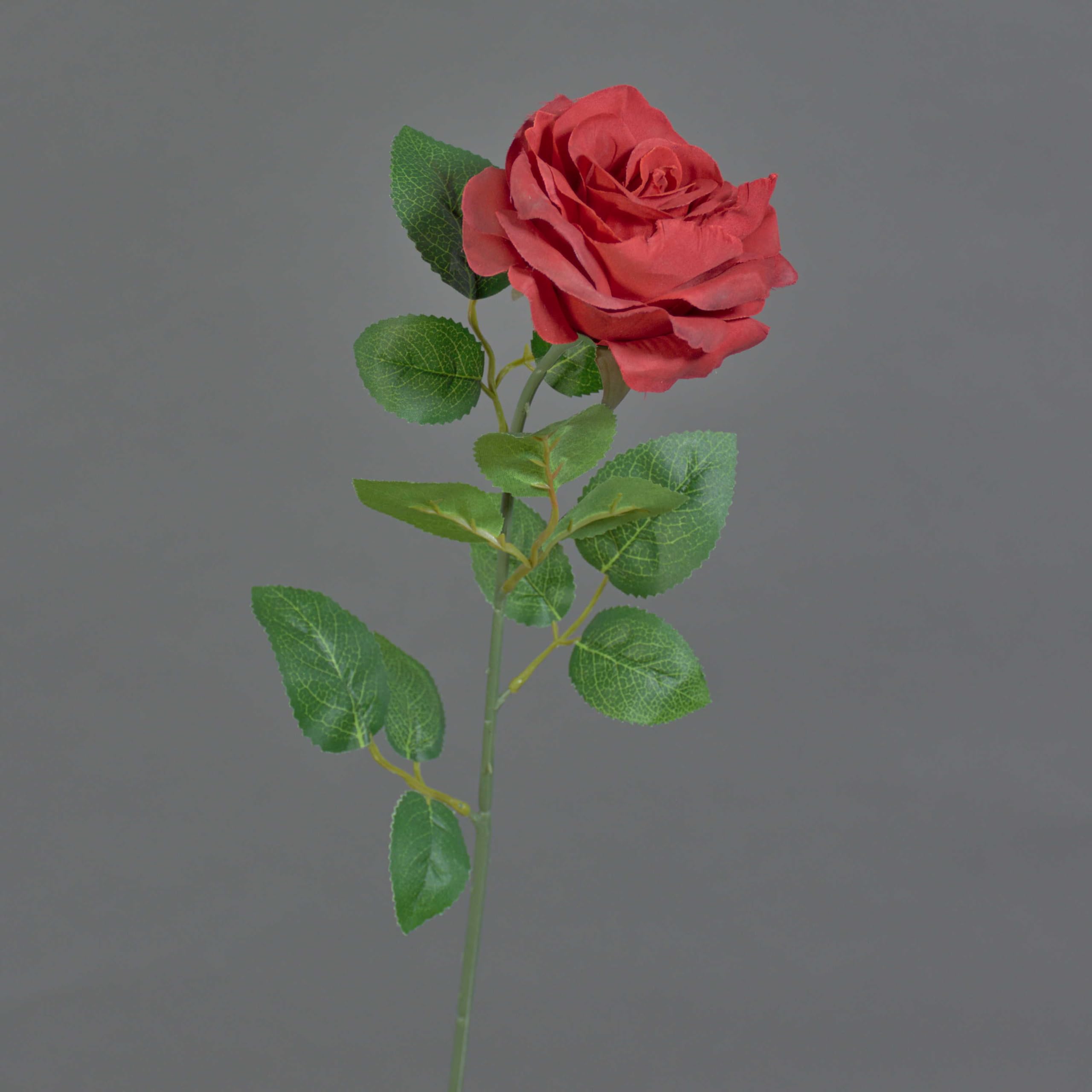 artplants.de Rose silk flower PEZOS, red, 60cm - Fake rose/Artificial rose spray