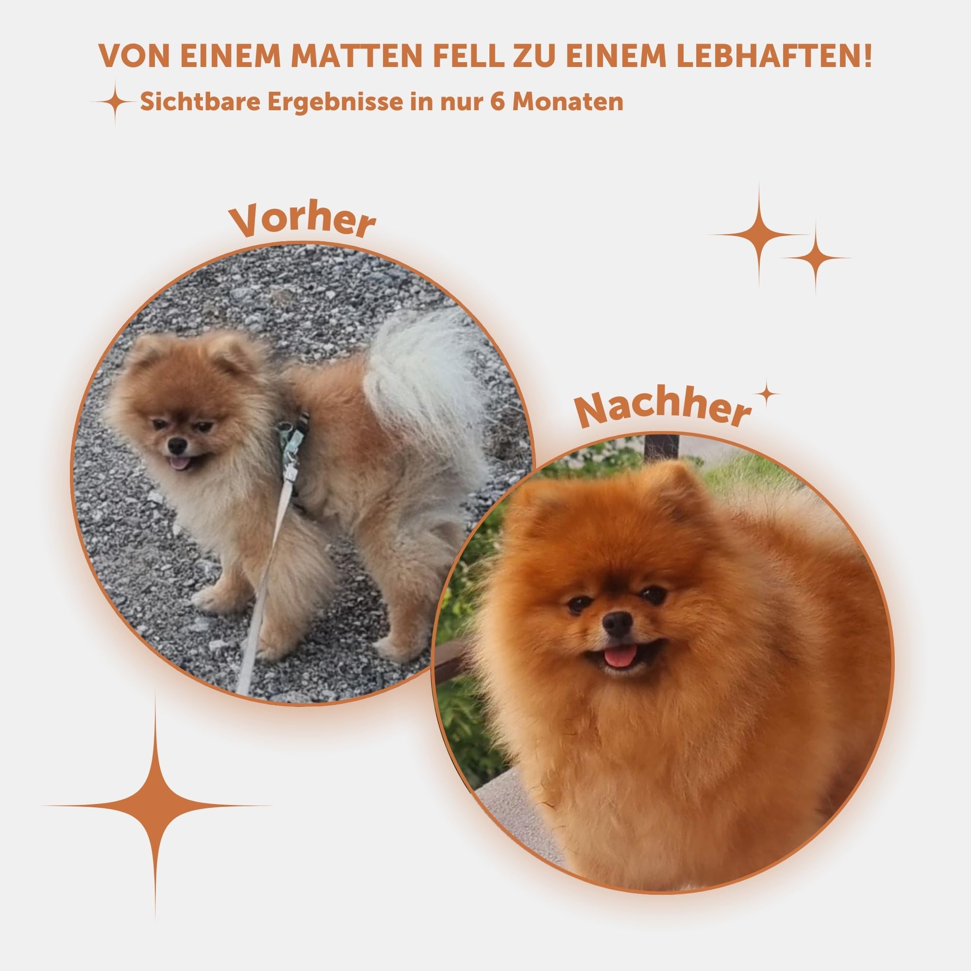 Nature's Protection Superior Care Trockenfutter für kleine Junghunde, mit Lachs, fleckenabweisend, hypoallergen mit Verstärkung des roten Fells, 1,5 kg.