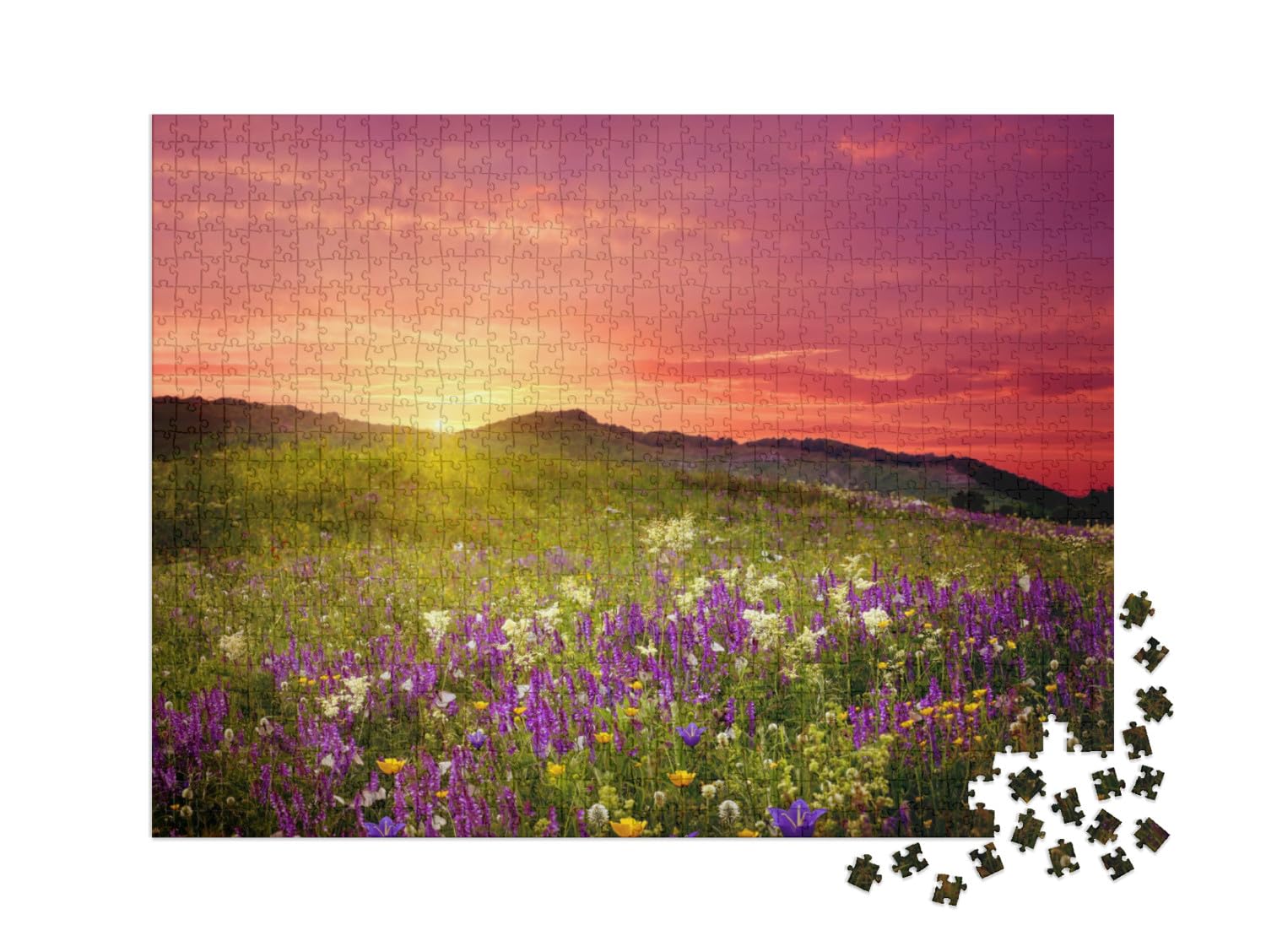 Puzzle 1000 pièces XXL « Paysage de Montagne avec Fleurs »