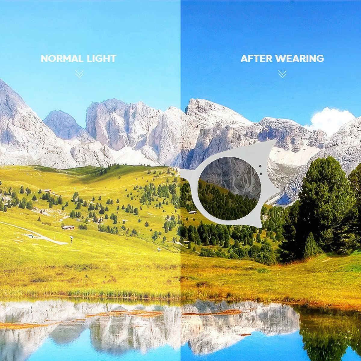 Gothic Bat Sunglasses Retro Punk Hip Hop Butterfly Style Sunglasses for Women Men Halloween Party Accessories - Image 5