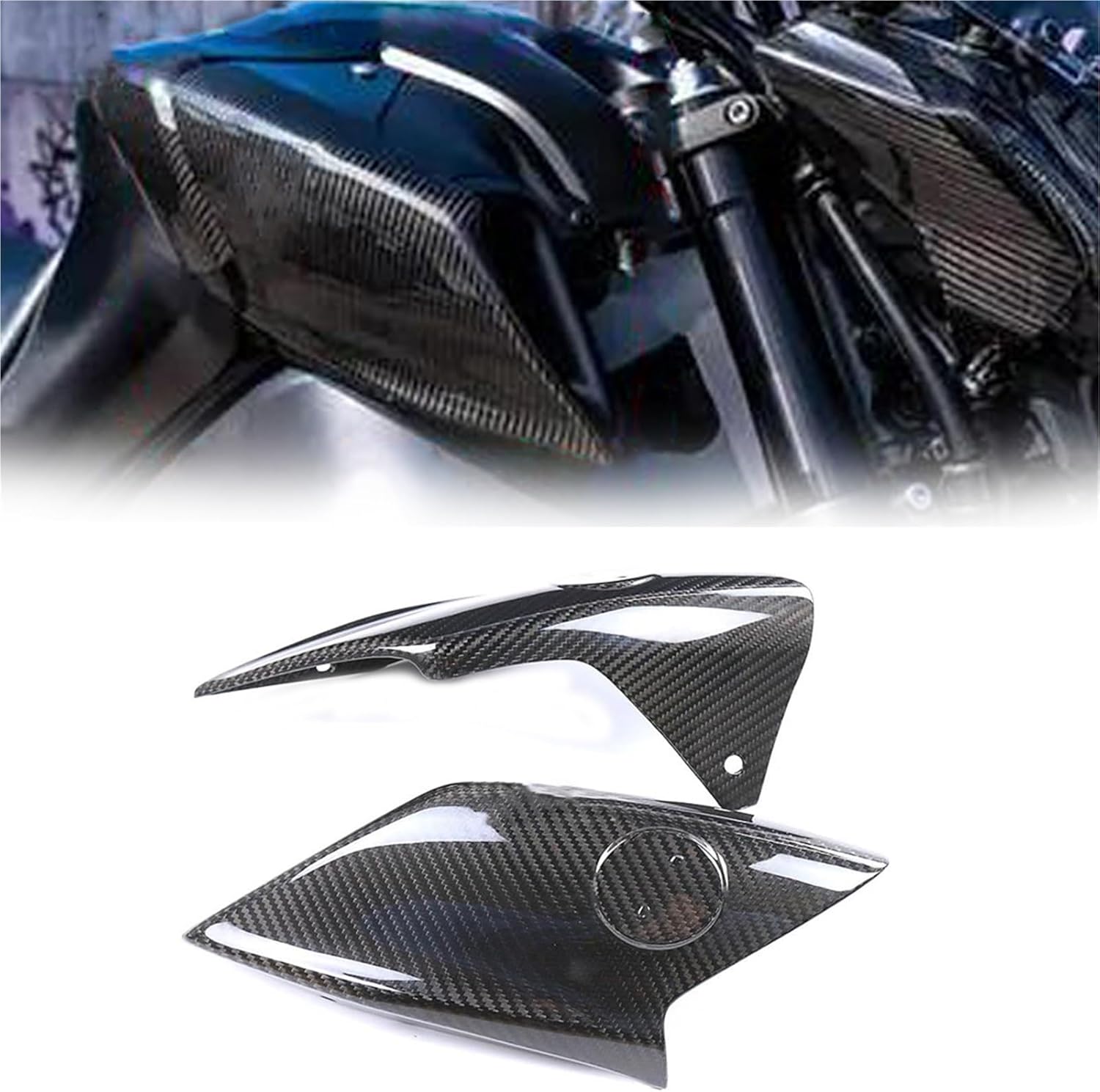 趣味・スポーツ・実用 Tillandsia II Paul T. Isley III Tillandsia by