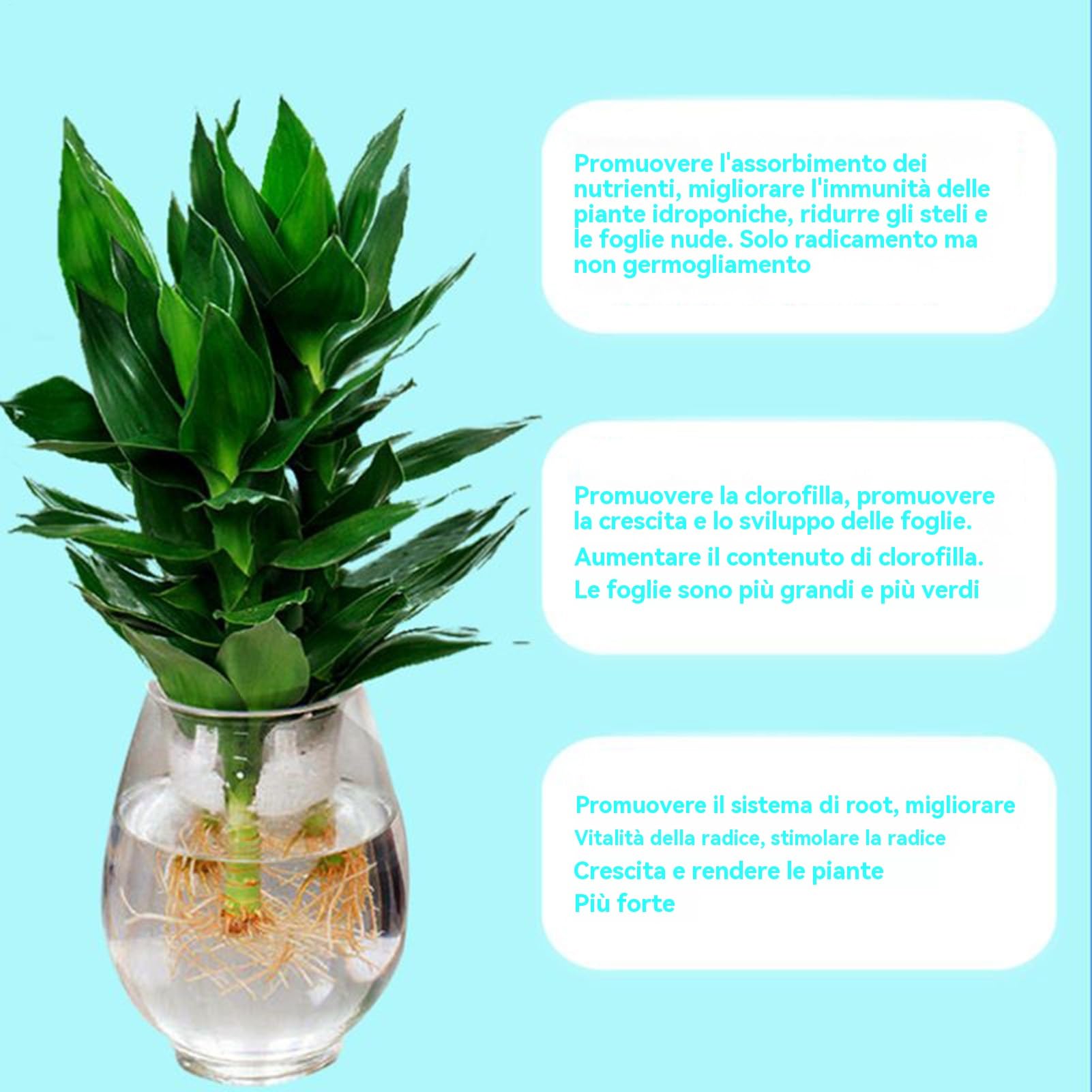 Fertilizzante Idroponico - Nutriente Liquido per Piante - 110ml per Fiori Piante da Appartamento Coltivazione Orto Propagazione e Giardinaggio