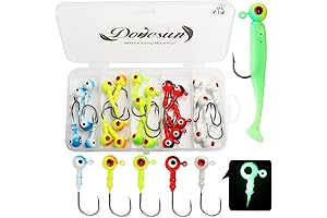 1/4 oz Professional 3D Fishing Jig Head