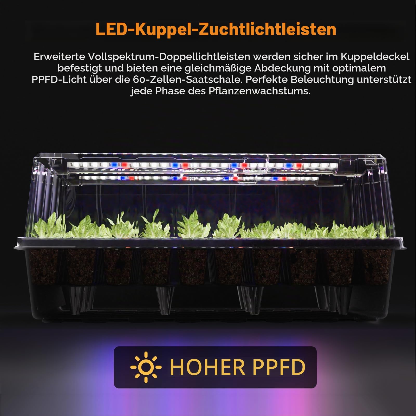 Patigrow 60-Zellen Selbstbewässernder Zimmergewächshaus Anzuchtkasten mit Wachstumslicht,Mini Gewächshaus Anzucht Set, Setzling Starter Tabletts, Treibhaus Anzuchtschale für Sämling Pflanze
