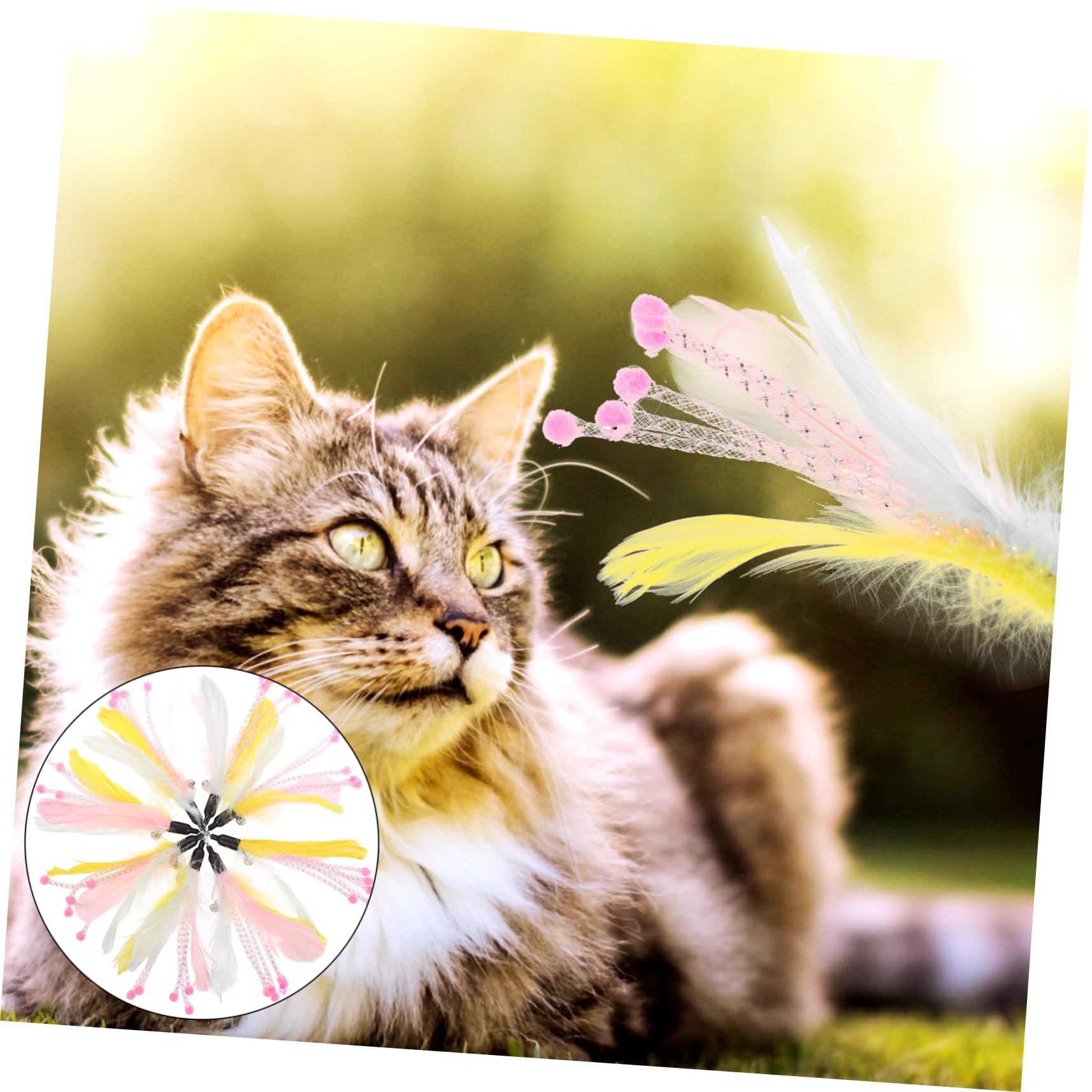 BESPORTBLE Jeux Chat Canne Canne Jouet pour Chat Pièces Recharge Teaser Interactive Cat Toy Arbres à Jouets pour Plume De Jouets pour De De Jouet pour La Plume