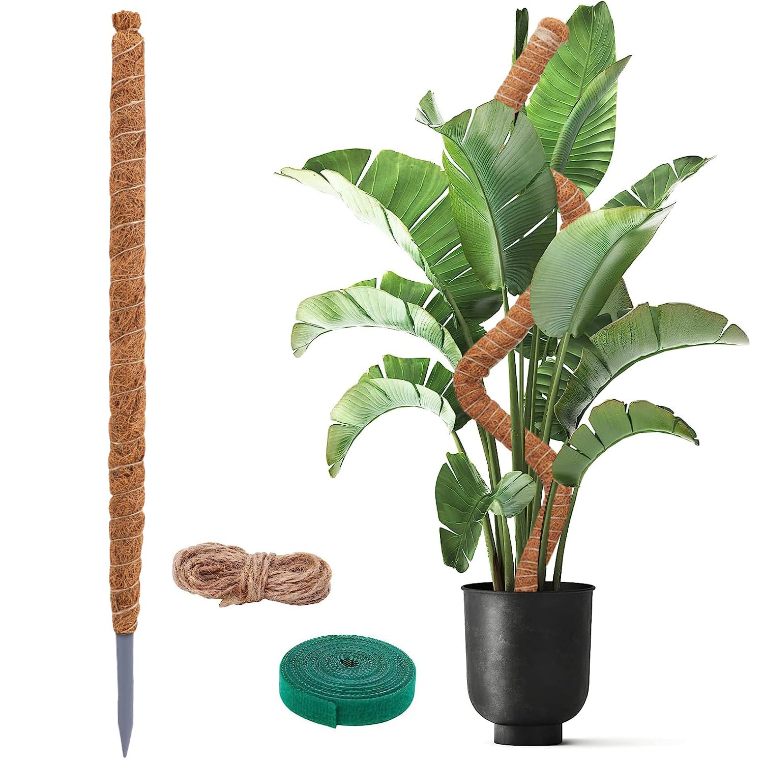55 Inch Moss Pole for Plants Monstera Bendable Plant Stakes for
