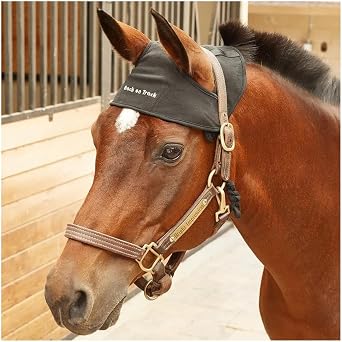 Back on Track Halter