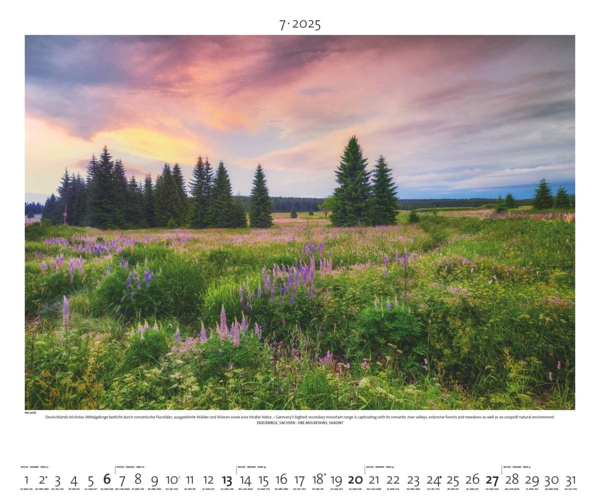 PALAZZI - Naturland Deutschland 2025 Wandkalender, 60x50cm, Posterkalender mit schönen Bildern aus Nationalsparks und Naturschutzgebieten, Felder, Wiesen und Wälder