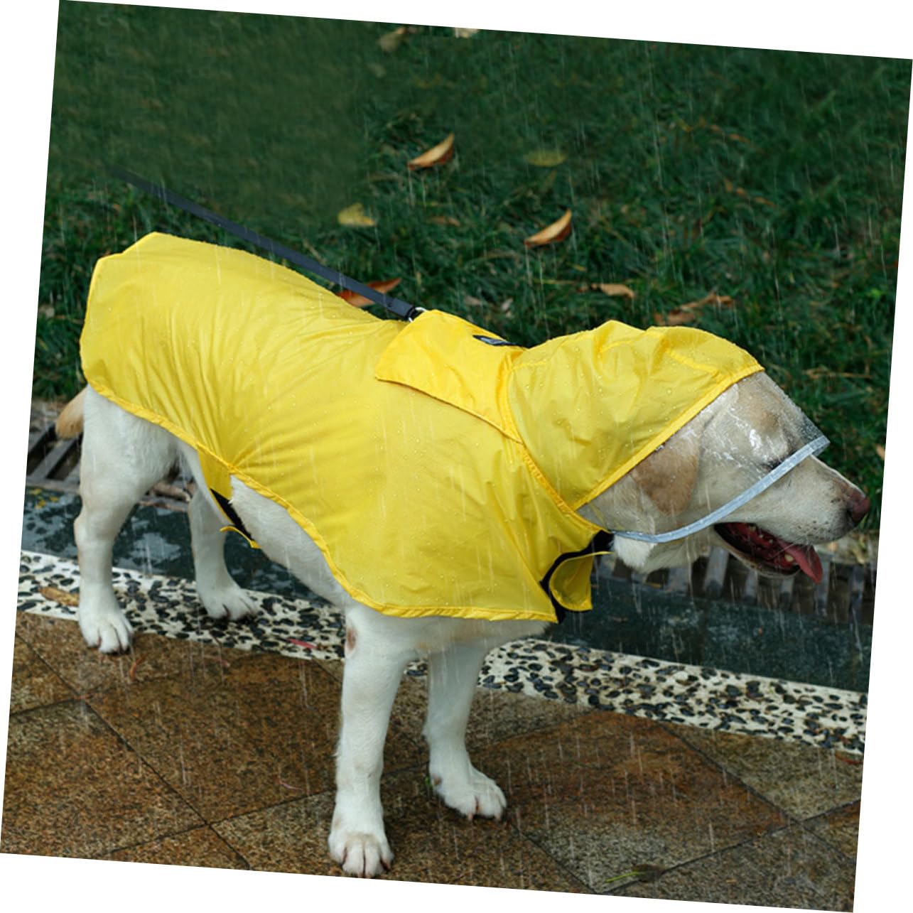 Manteaux de Pluie imperméables pour Chien, imperméable pour Chien, 2 pièces, Gilet réfléchissant à Capuche pour Chien, Gilets réfléchissants, Manteaux de Pluie