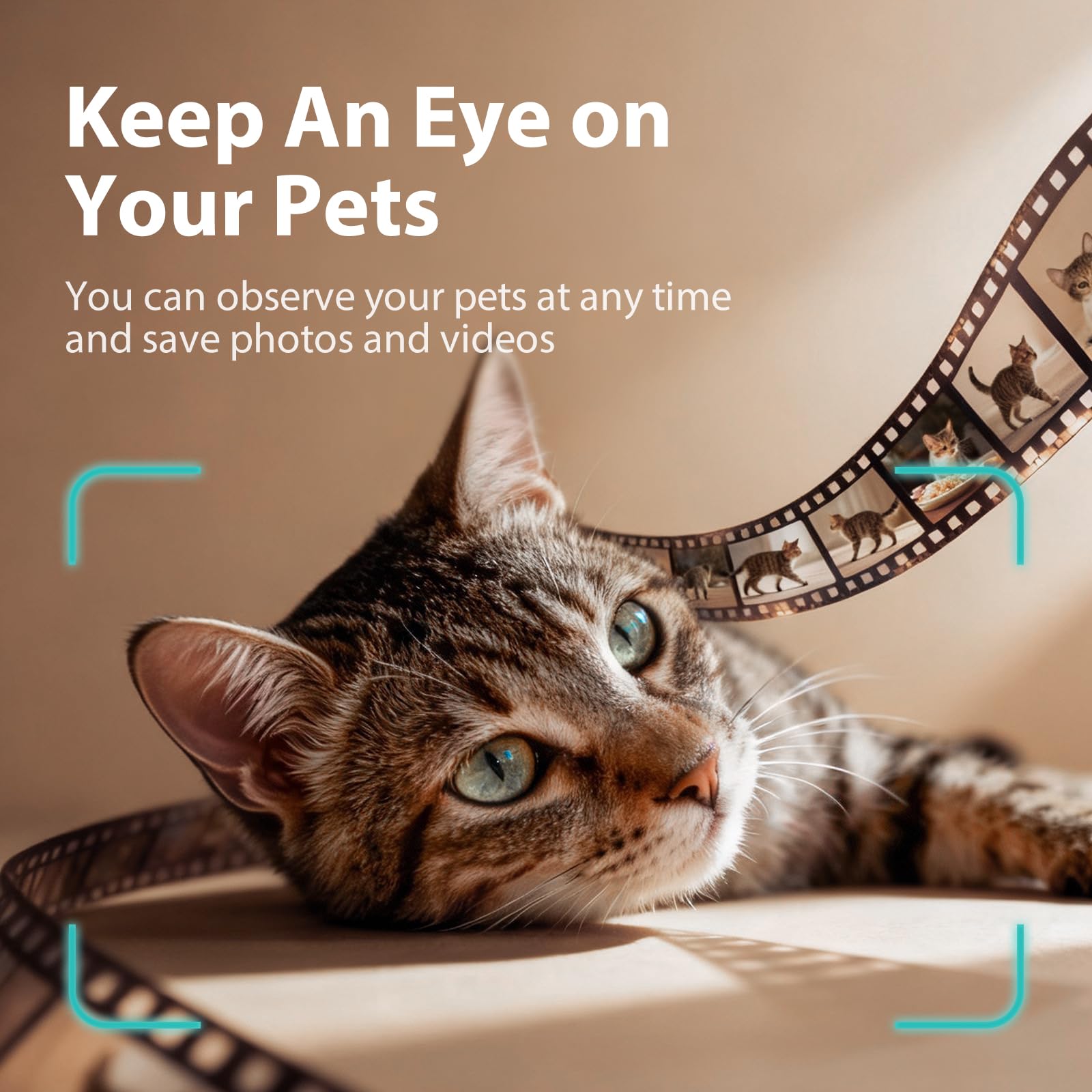 IMIPAW 5L Smart Cat Feeder with Camera Gallery Image