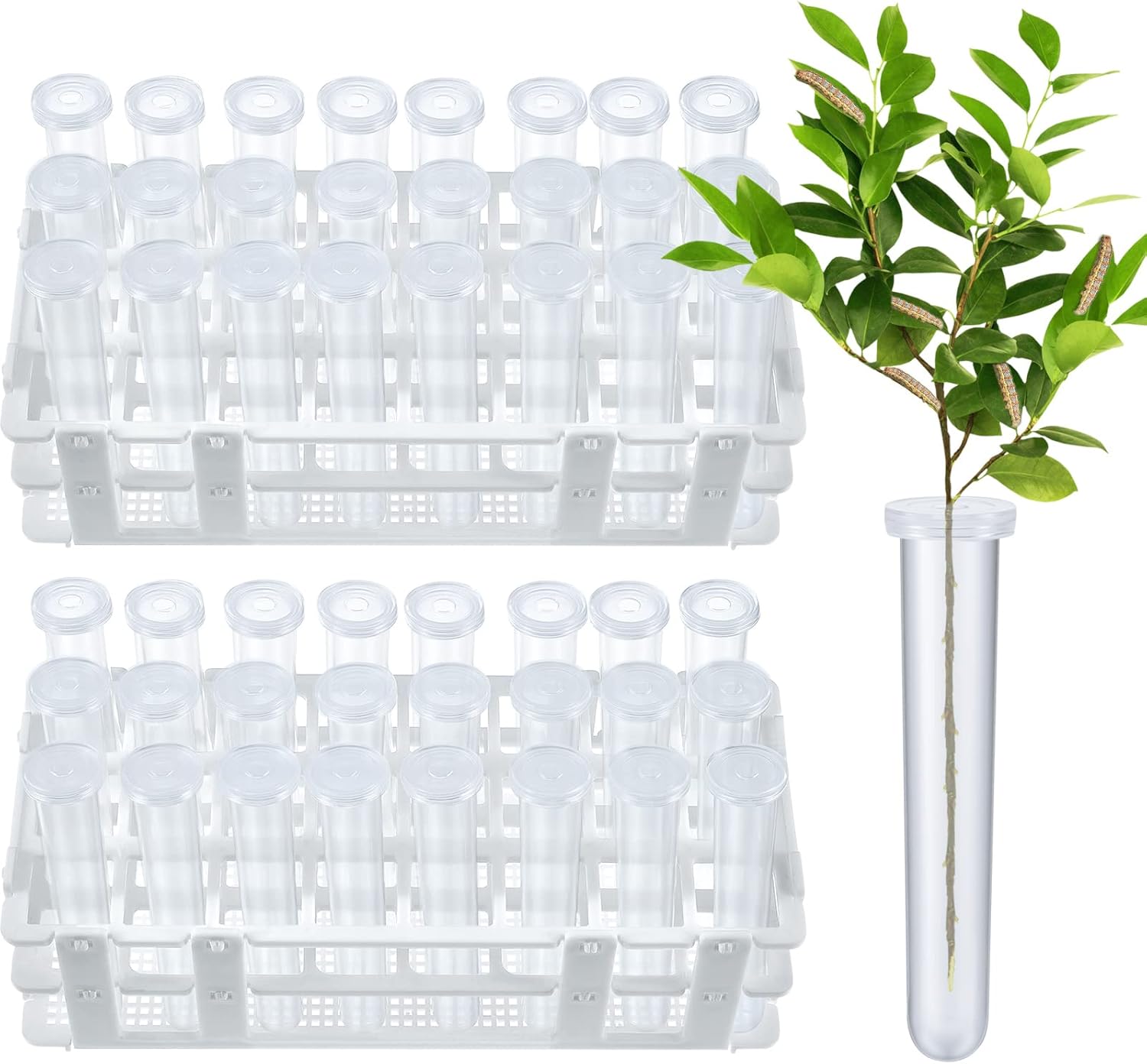 50 Pcs Floral Water Tubes with Rack Holder Floral Tubes