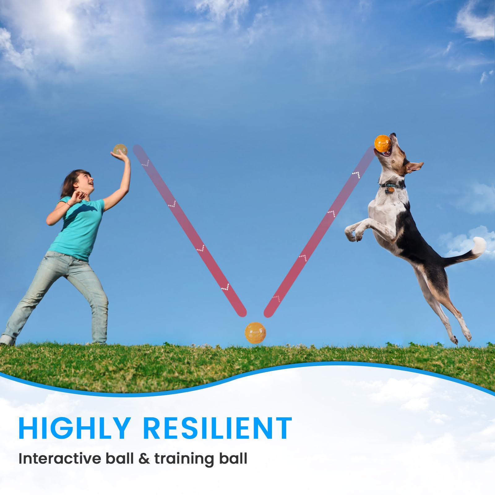 Set 2 Palline Per Cani PiuPet - Diametro 6,5 Cm, Gomma Naturale, Alto Rimbalzo, Resistente Ai Morsi, Color Grigio E Giallo - Foto 3