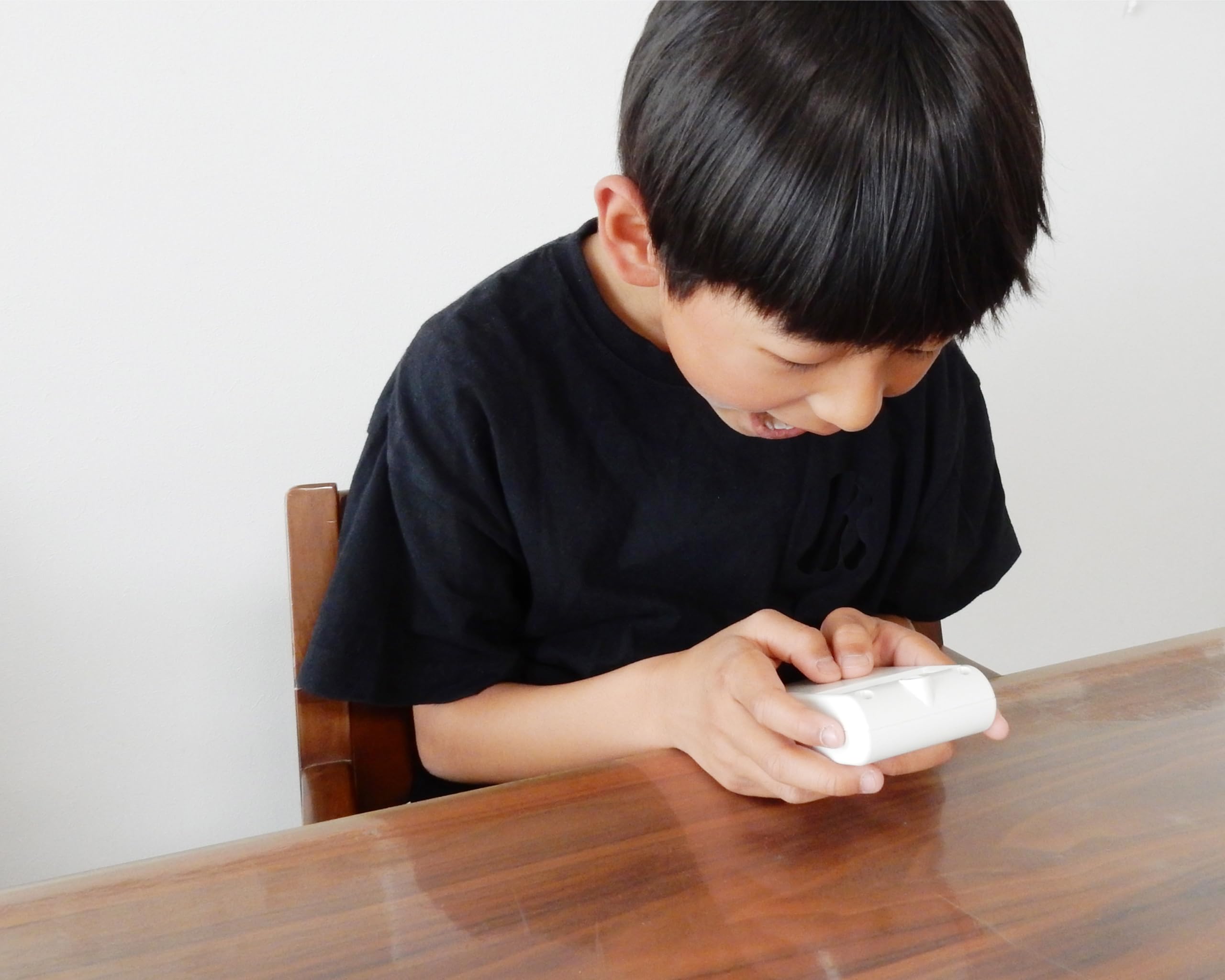 Amazon.co.jp: 群馬電機 時間だよ! おしらせとうばん(しば) : おもちゃ