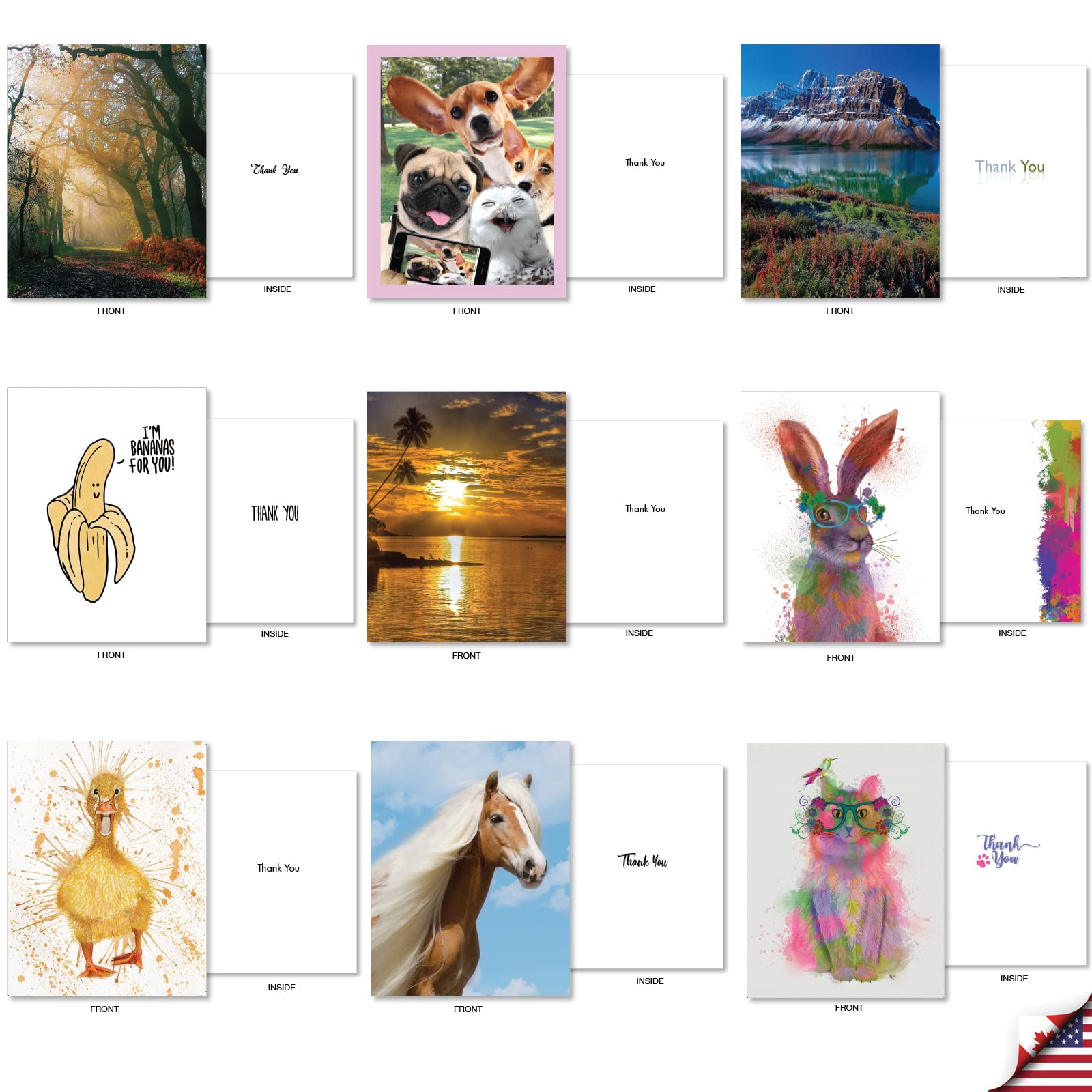 The Best Card Company - Lot de 36 cartes assorties de 10,2 x 13,5 cm avec enveloppes (36 motifs, 1 chaque), carte de gratitude en vrac – Many Smiles AM7754TYG-B1x36