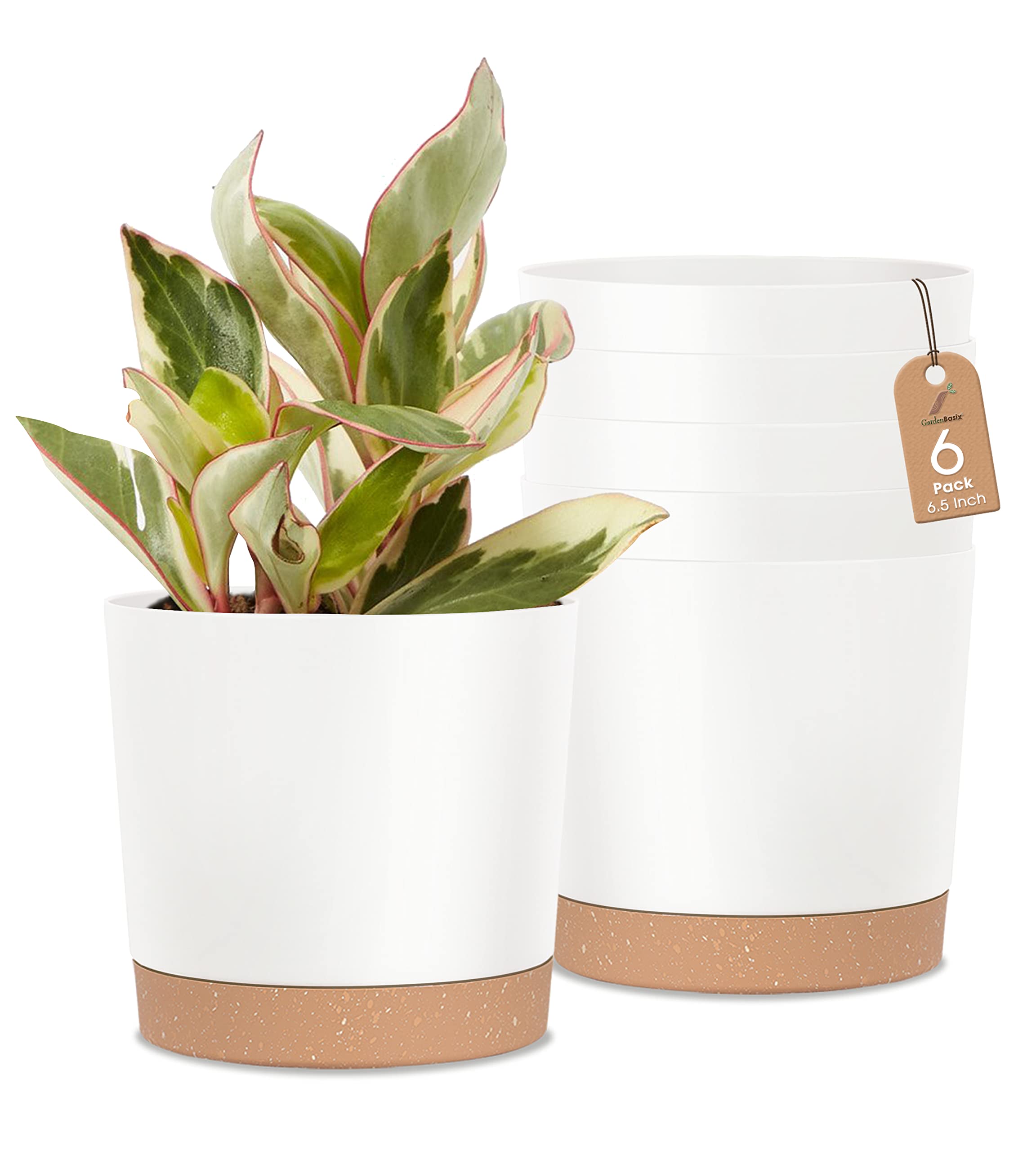 Plastic Plant Pots,6.5 inch Flower Planter Pots with Trays,Modern Stylish Indoor & Outdoor Garden Pots for All House Plants,Flowers,Herbs,Succulents (White, 6)