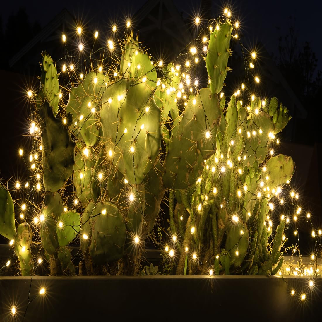 Accendi Petardo Luci 30m 1000 LED Bianco Caldo Verde Filo Cluster Lucine con Telecomando per Camera da Letto,Matrimonio,Compleanno,Festa,Albero di Natale,Giardino,Patio