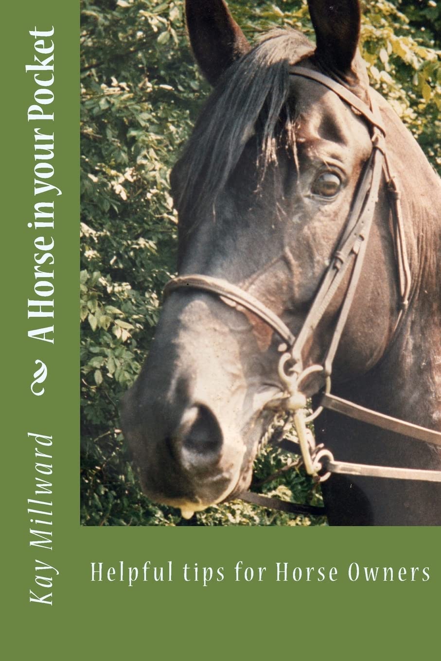 A Horse in your Pocket