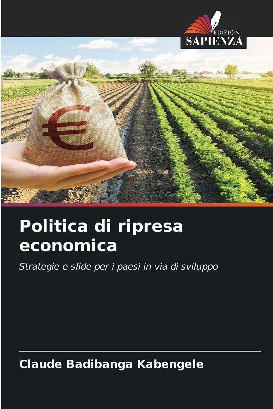 Politica di ripresa economica: Strategie e sfide per i paesi in via di sviluppo