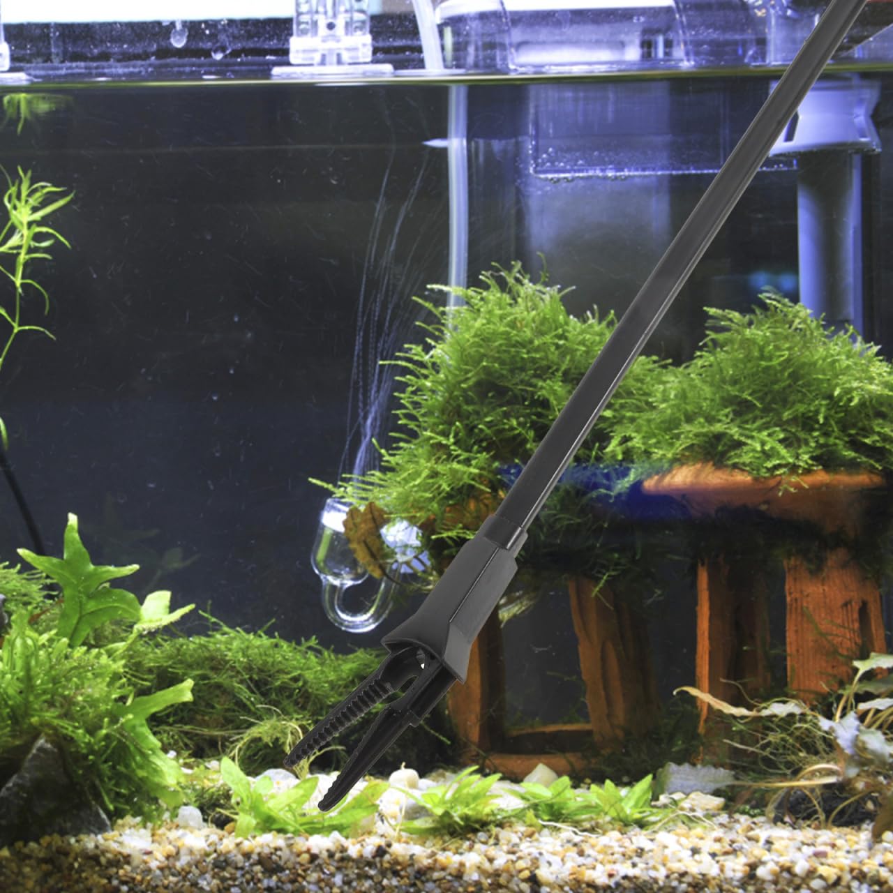 2 pinze lunghe per piante acquarie, per la cura delle piante acquatiche