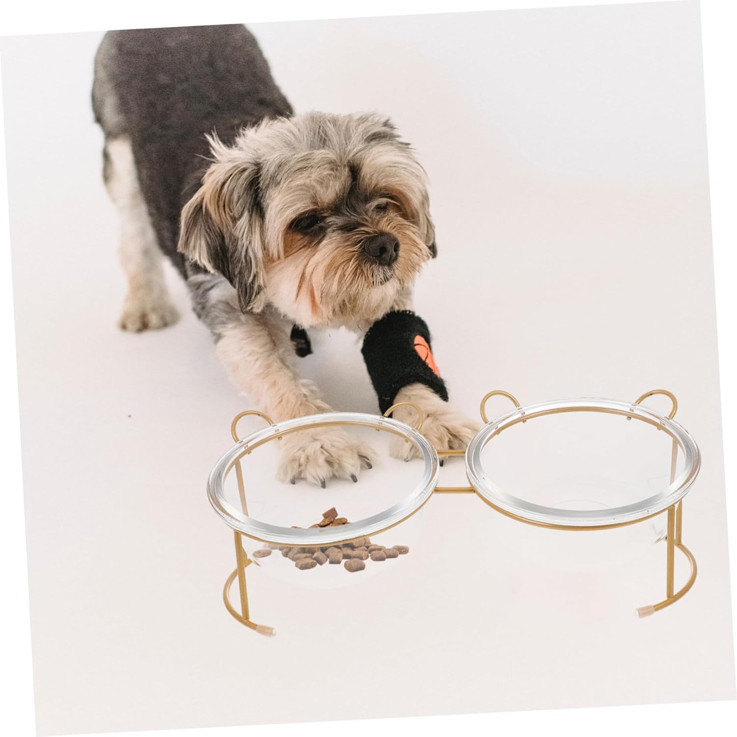 Raised Glass Cat Bowl with Bright Gold Iron Stand Non-Slip Dual Pet Feeding Bowls for Dogs and Cats Smooth Polished Edges for Safe Indoor Use Stable Design Prevents Overturning