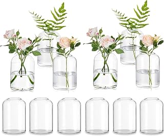 Glasseam Glass Bud Vases for Single Stem Flower, Small Clear Vase Set of 12