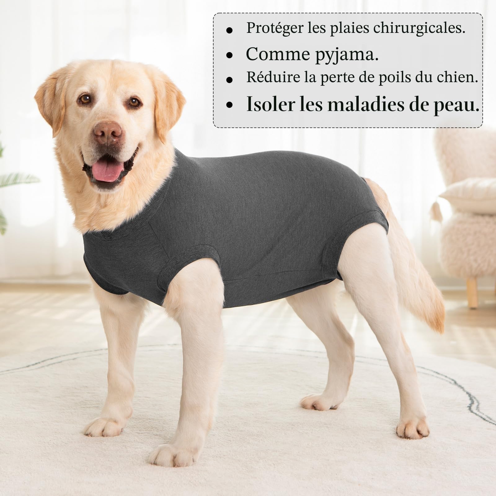 Body Chien Post Operatoire Femelle Male Combinaison Chien Sterilisation Castration Body Medical pour Chienne Anti Lechage après Opération t Shirt Post Operatoire Alternative Collerette Chiens
