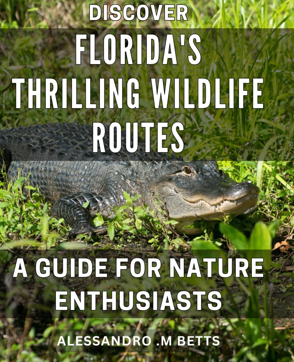 Discover Florida's Thrilling Wildlife Routes: A Guide for Nature Enthusiasts: Explore the Hidden Gems of Trails: Comprehensive Lovers to Get Closer