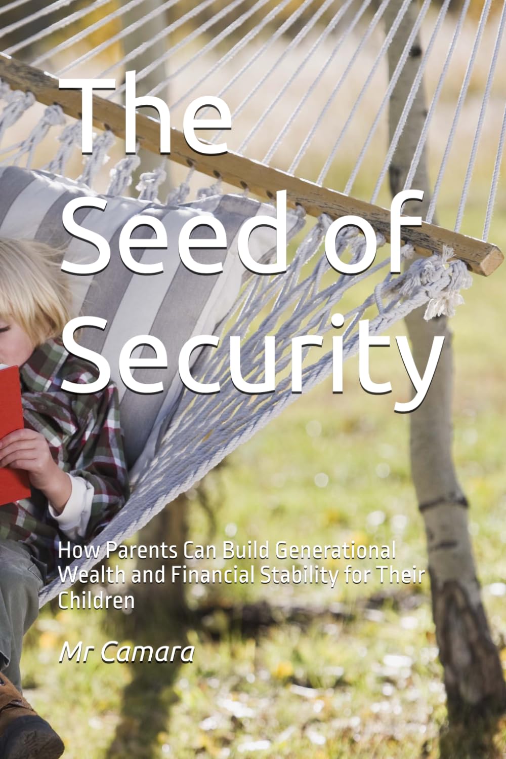 The Seed of Security: How Parents Can Build Generational Wealth and Financial Stability for Their Children