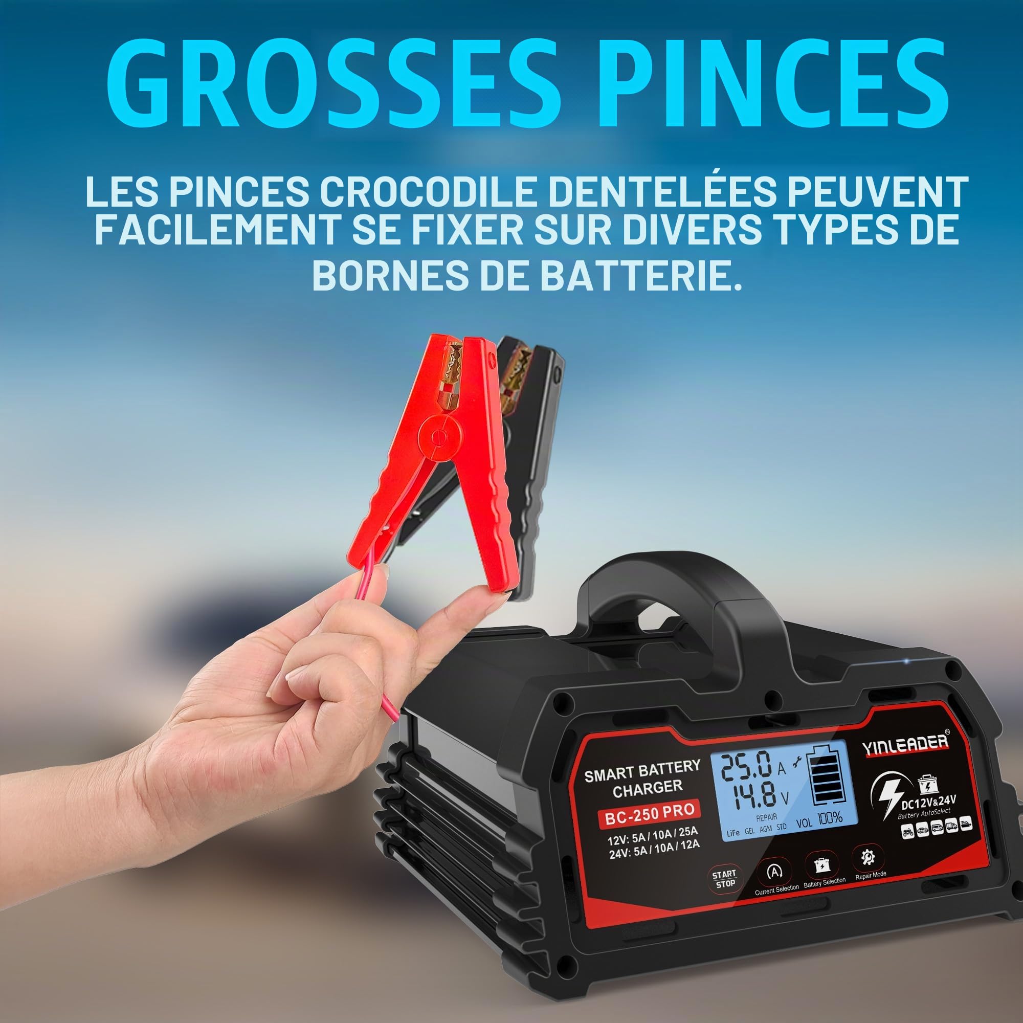 Yinleader Chargeur de Batterie Intelligent 25A 12V/24V 12A/10A/5A, Chargeur de Voiture LCD, mainteneur de Batterie pour AGM, Moto, LiFePO4 - Noir