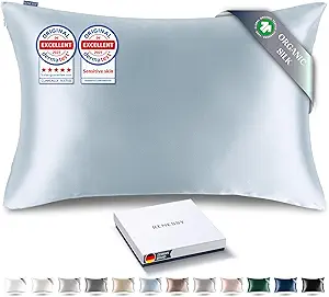 Premium Silk Pillowcase 100% Organic Mulberry Silk, 22 Momme, Grade 6A - Oeko-Tex Certified in Germany - Luxury for Hair & Skin, 1 Piece (Standard Size 20x26 Inches, Cloud Blue)