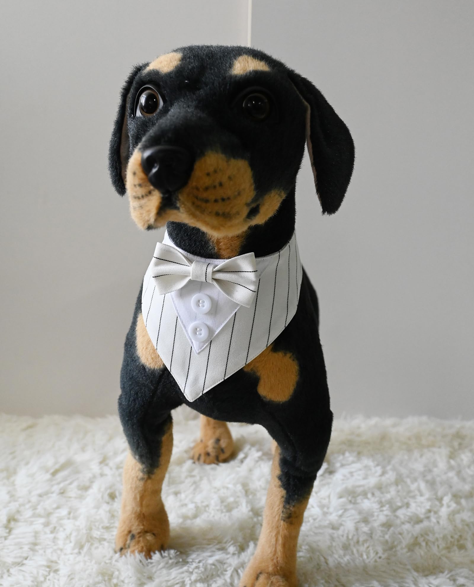 Collare per smoking per animali domestici, bandana, abito da sposa, papillon per gatti, cuccioli, cani di piccola taglia, vestito per feste, compleanni, Natale, bianco, XS