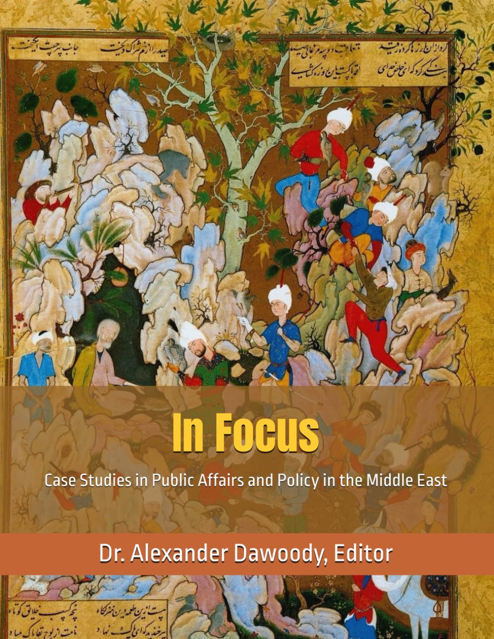 In Focus: Case Studies in Public Affairs and Policy in the Middle East