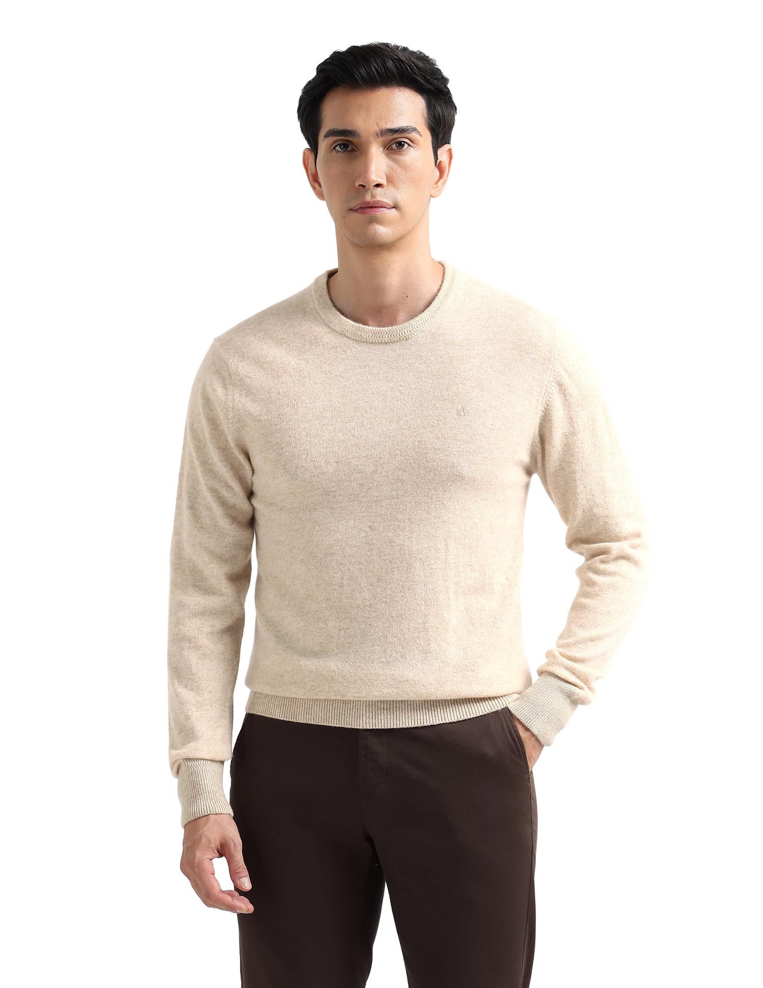 arrow sports Arrow Sport Men's Solid Regular Fit Sweater-picture-25