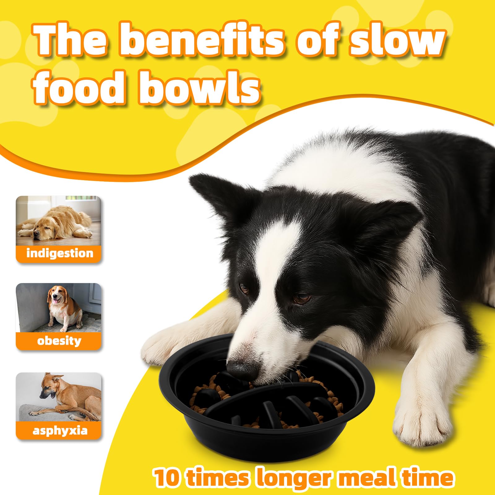 Ciotole per cani Rialzate Regolabili - 2 Ciotole in Acciaio Inox (1200ml) + 1 Ciotola anti-ingozzo (800ml) - Base antiscivolo per cani di taglia media/grande