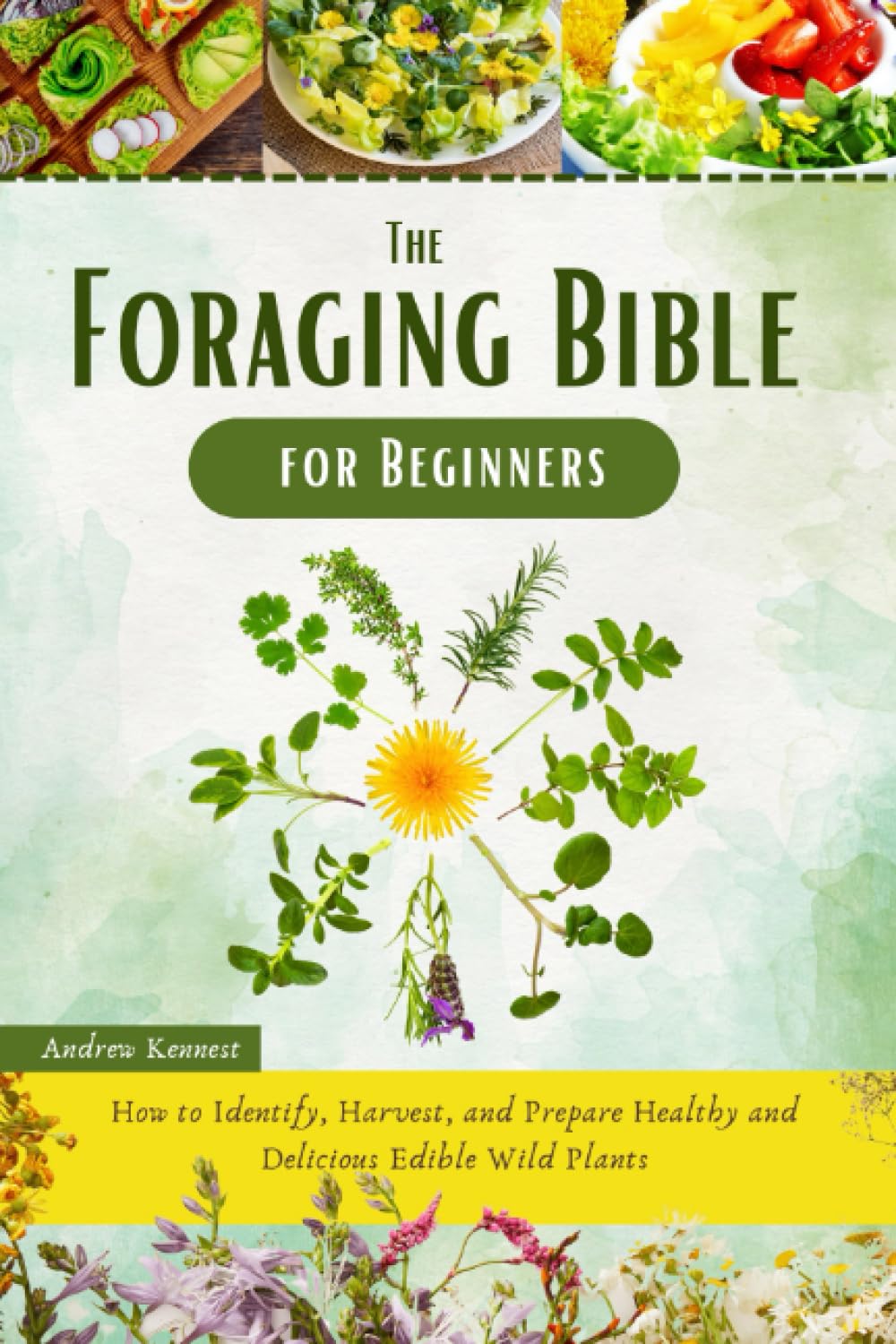 The Foraging Bible for Beginners: How to Identify, Harvest, and Prepare Healthy and Delicious Edible Wild Plants      Paperback – November 16, 2022