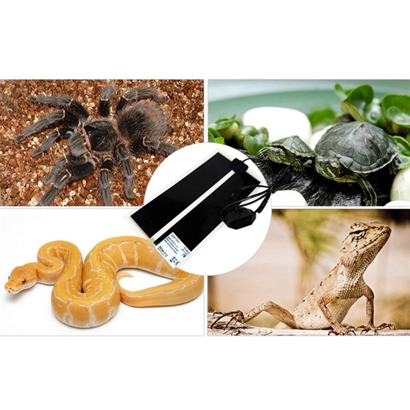 Ogrzewacz do rąk Pet ogrzewacz ciepła poduszka grzewcza dla zwierząt gad gady gorący terrarium ogrzewanie z termostatem (rozmiar: 20 W)