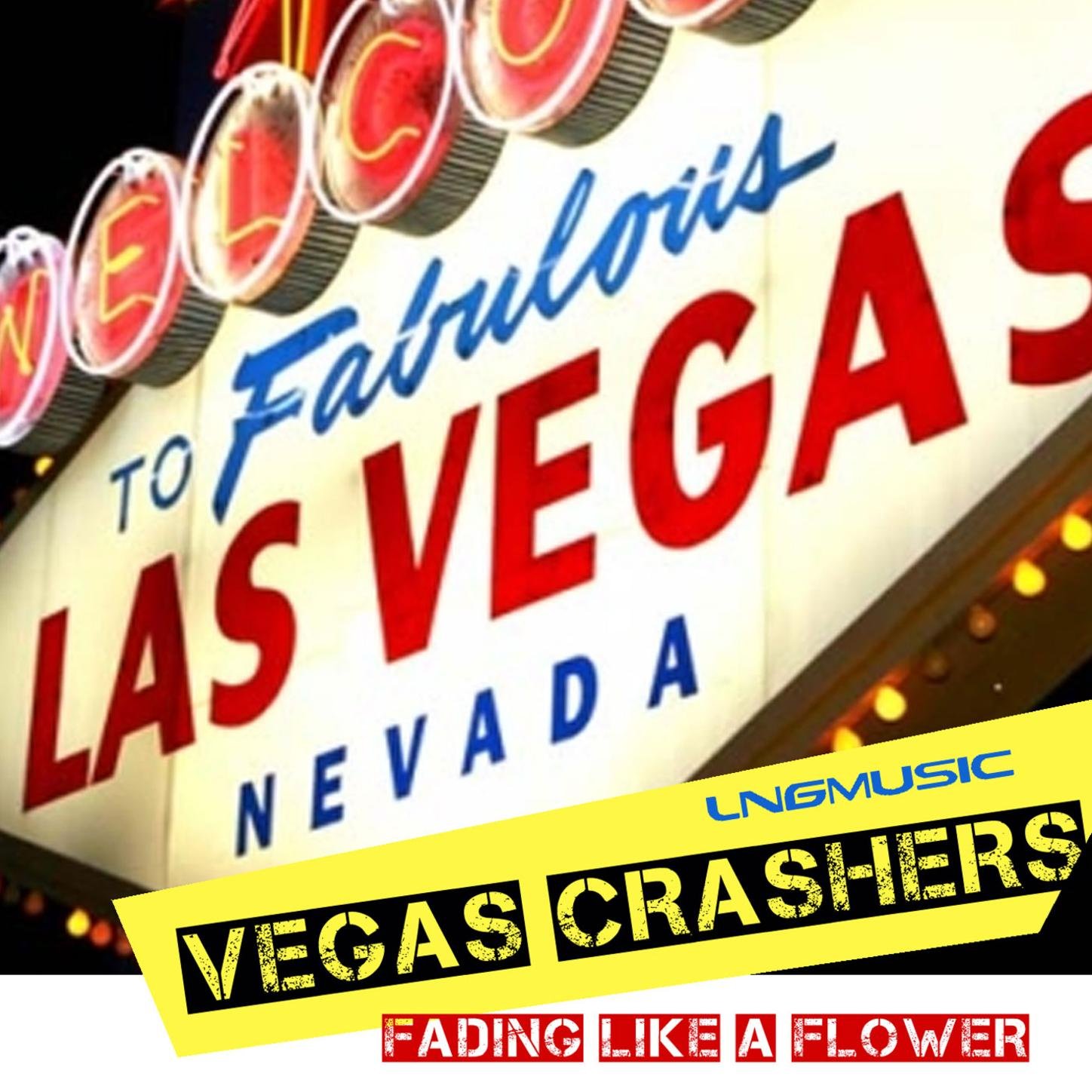 Vegas Crashers