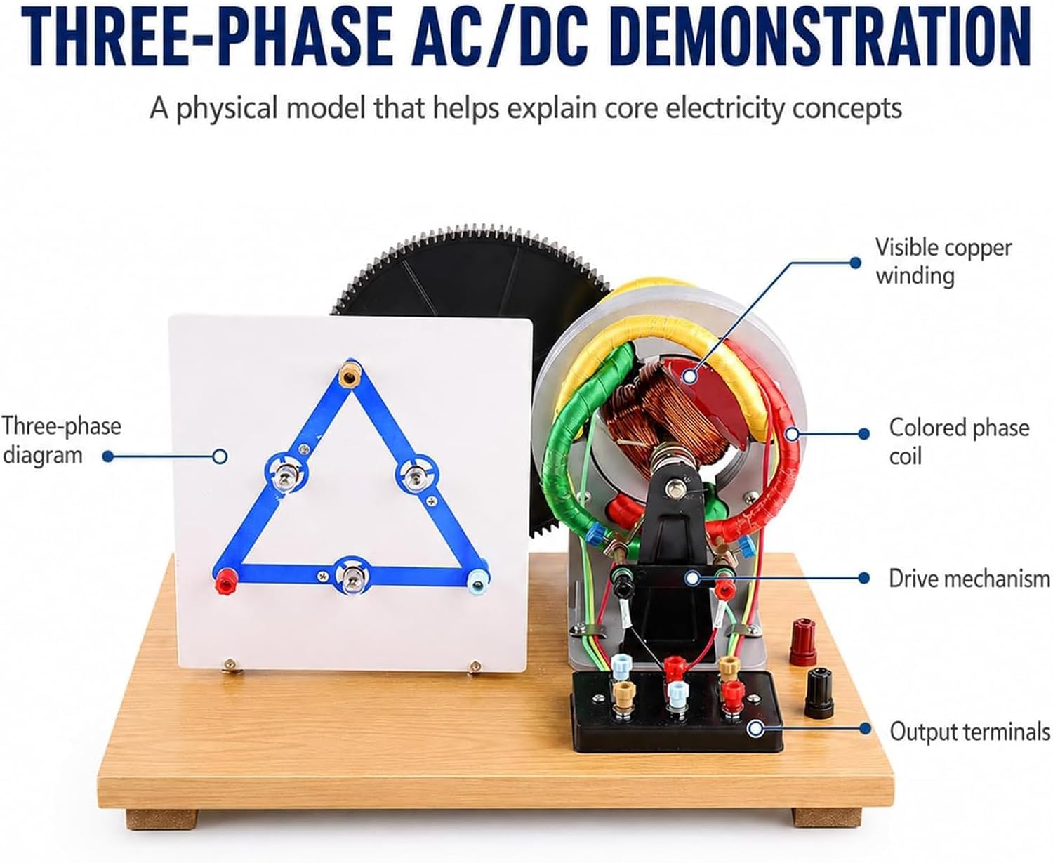 Generador Trifásico De Ca/CC, Modelo De Generador Eléctrico con Manivela, Kit De Experimentos De Física, Material Didáctico para Demostraciones En El Aula, Aprendizaje De Electricidad DIY.