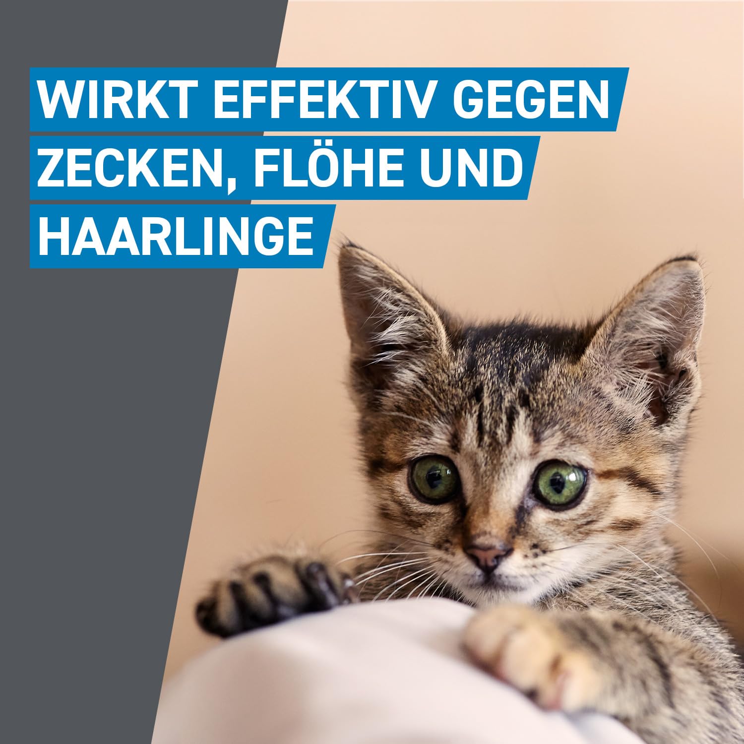 FRONTLINE Spot ON Katze gegen Zecken, Flöhe & Haarlinge - für alle Größen | 6+3 Pipetten (2er Pack) für bis zu 9 Monate Schutz - einfache Anwendung, gute Verträglichkeit - wasserfest